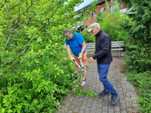 Dugnad i Sansehagen ved Sykehjemmet