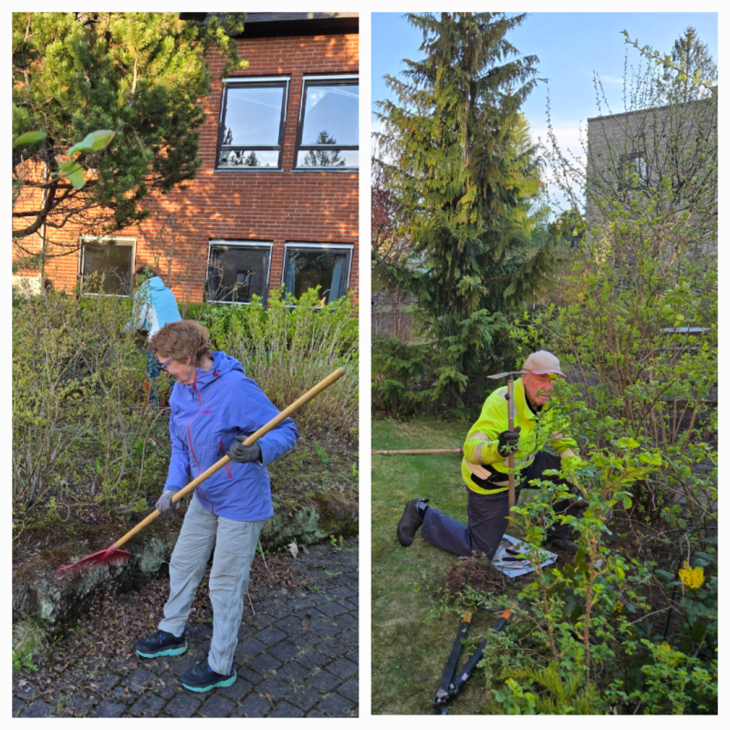 Vårdugnad i Sansehagen ved sykehjemmet